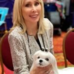 korean maltese, best in show maltese, arizona maltese breeders, california maltese breeders